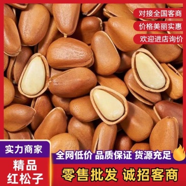 东北松子大量供应，一手货源，保质保量，一件代发可视频看货