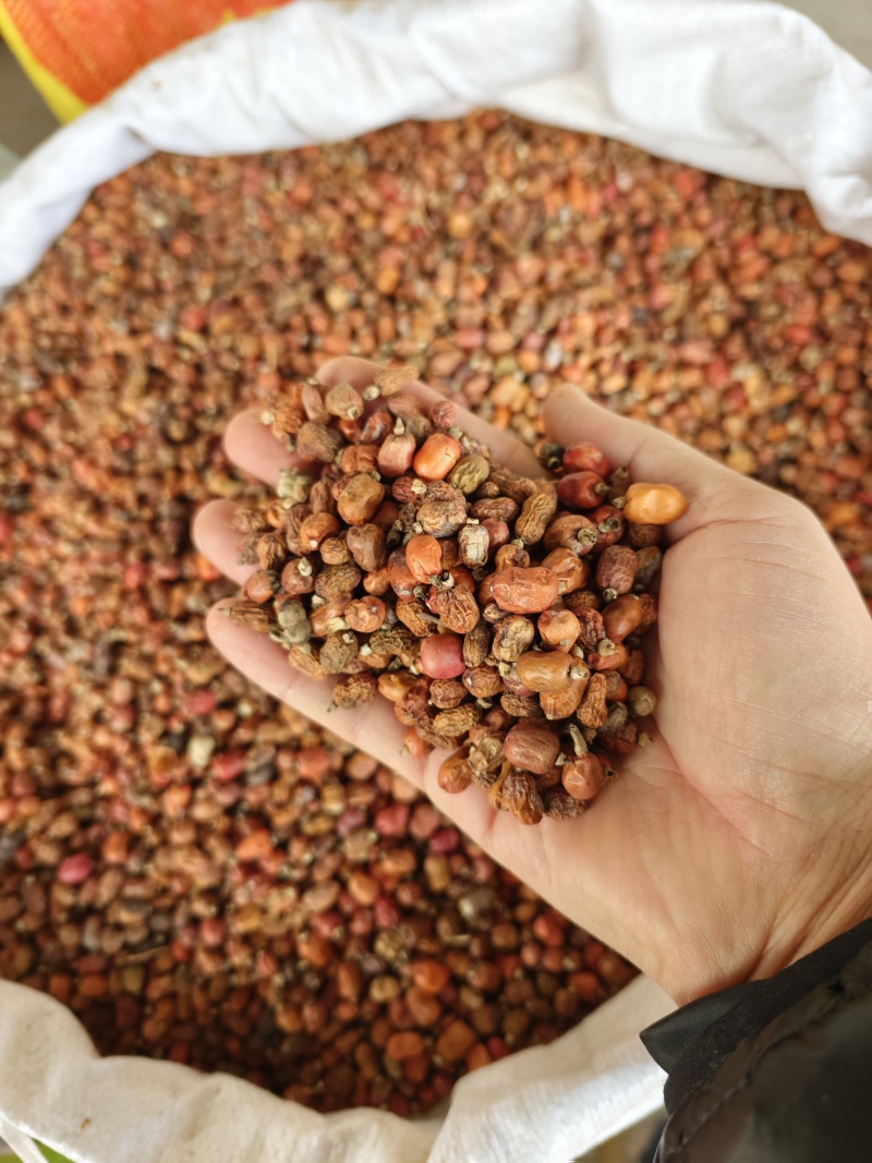 红蔻红豆蔻红扣大量供应量大从优