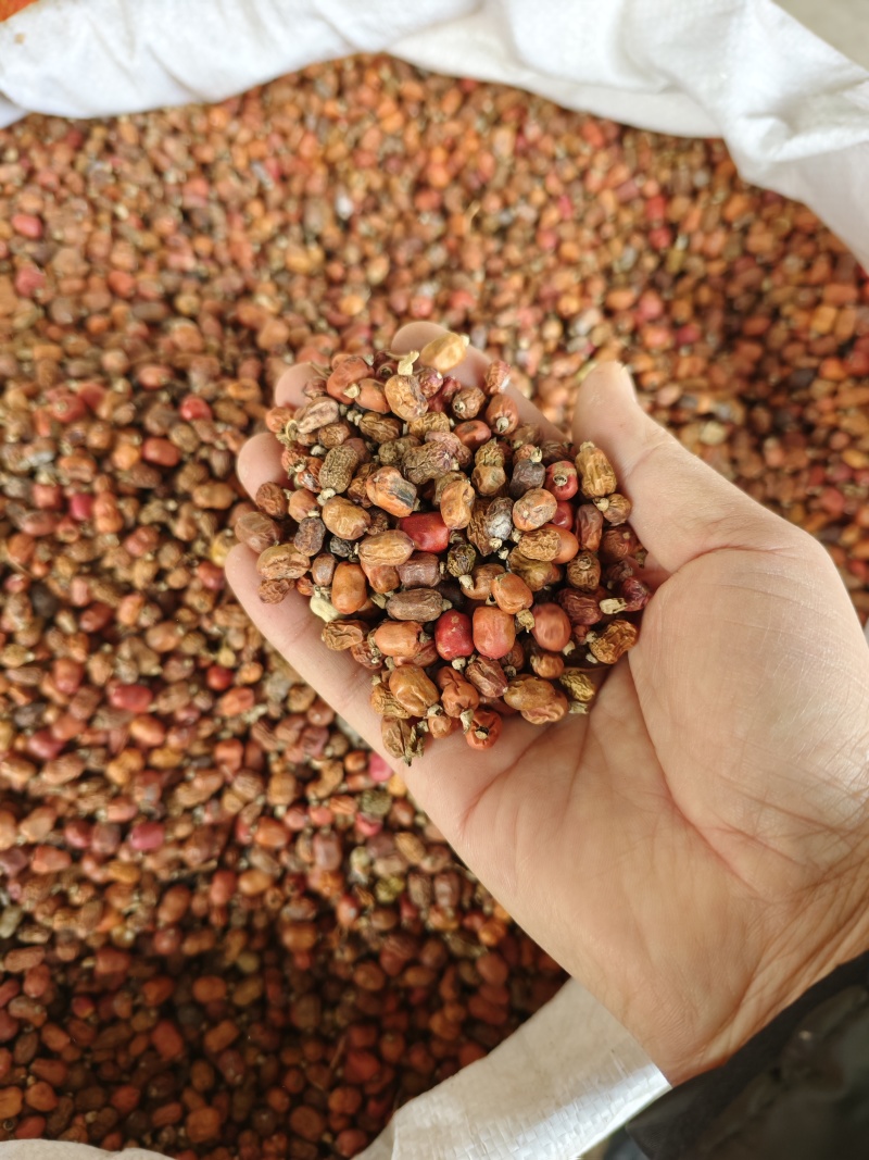 红蔻红豆蔻红扣大量供应量大从优