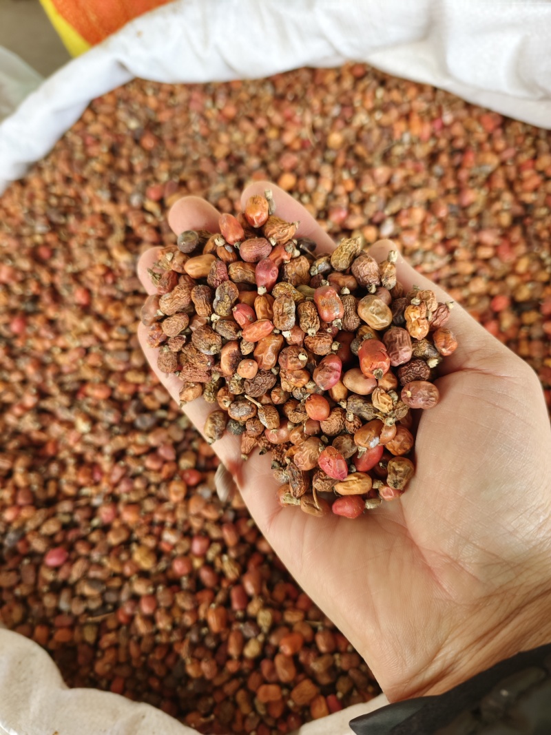 红蔻红豆蔻红扣大量供应量大从优