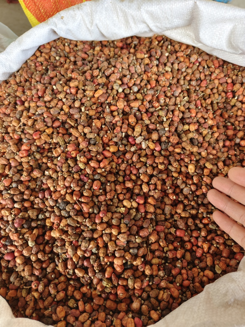 红蔻红豆蔻红扣大量供应量大从优