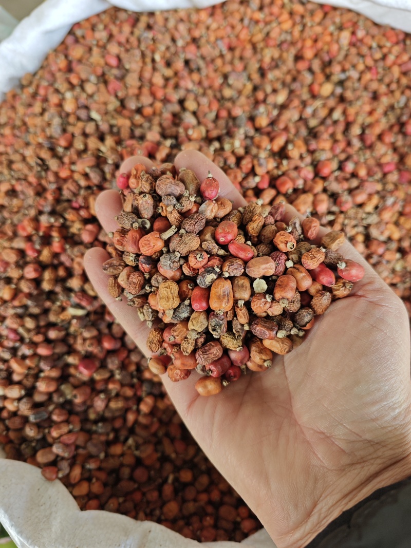 红蔻红豆蔻红扣大量供应量大从优