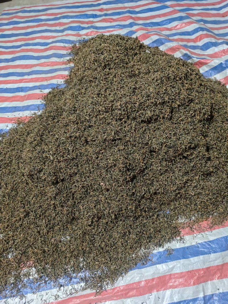 茶叶红茶英红九号产地直供一手货源包装齐全欢迎咨询