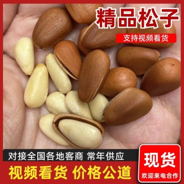 东北精品松子，大量供应，品质保证，可一件代发，欢迎选购