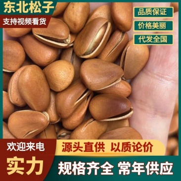 红松子正宗东北松子，货发全国，诚信经营，供应电商商超等