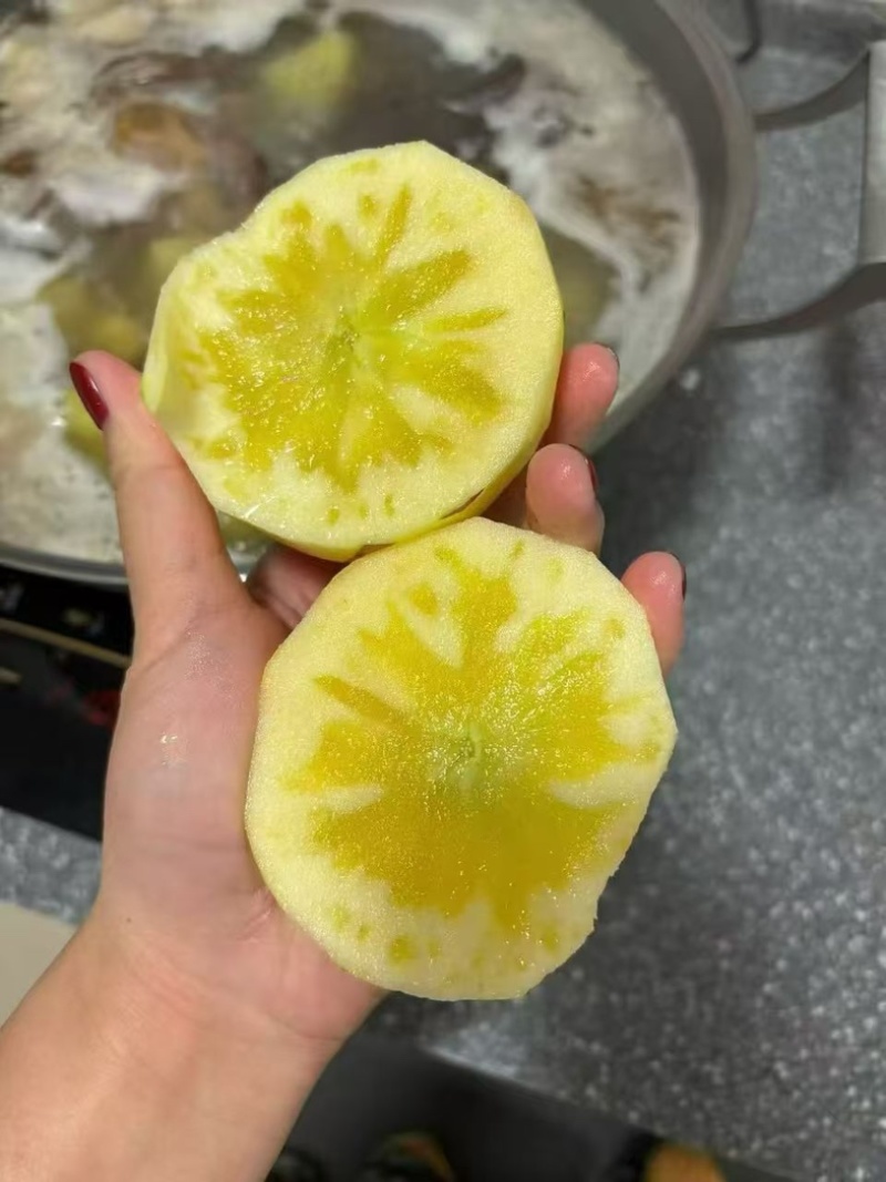 云南昭通溏心苹果
