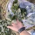 精品趴地菠菜大量接单