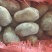 6万斤三两起黄心土豆急售