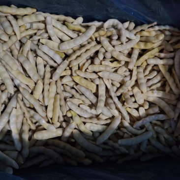 东北特产速冻黄豆角