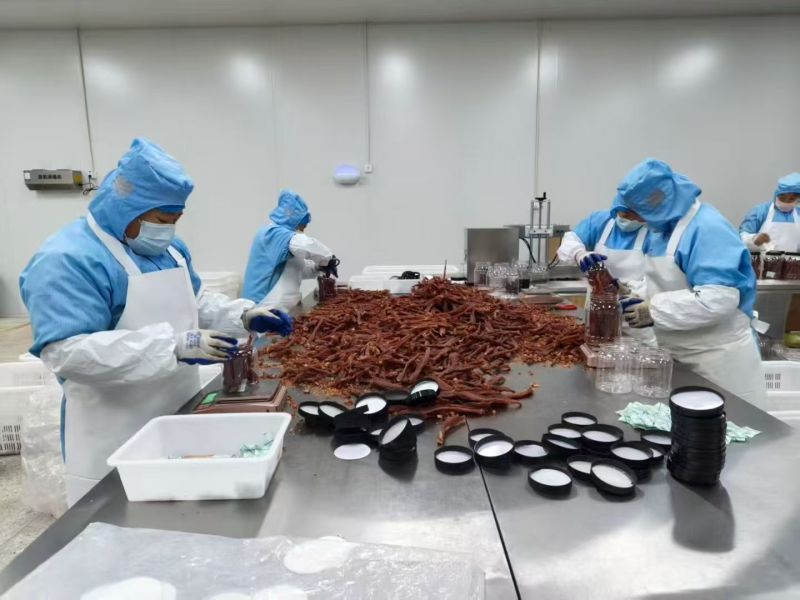风干鸡肉干厂家直销电商一件代发