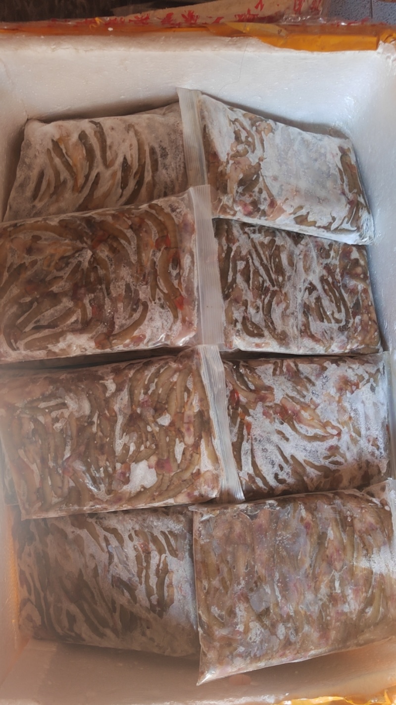 红尾巴鱼小河鱼