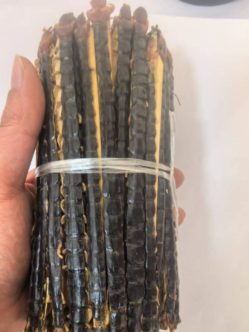 蜈蚣15公分多种规格需要联系