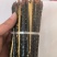 蜈蚣15公分多种规格需要联系