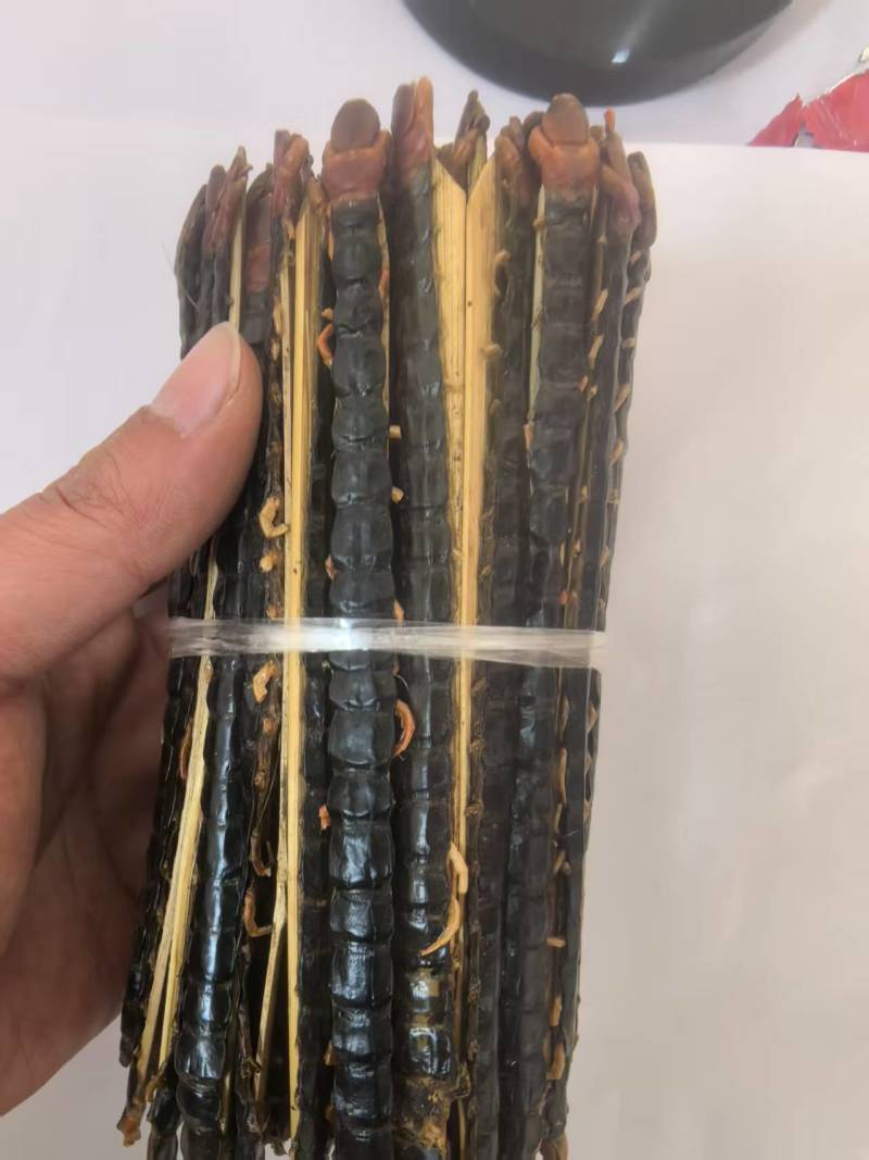 蜈蚣15公分多种规格需要联系