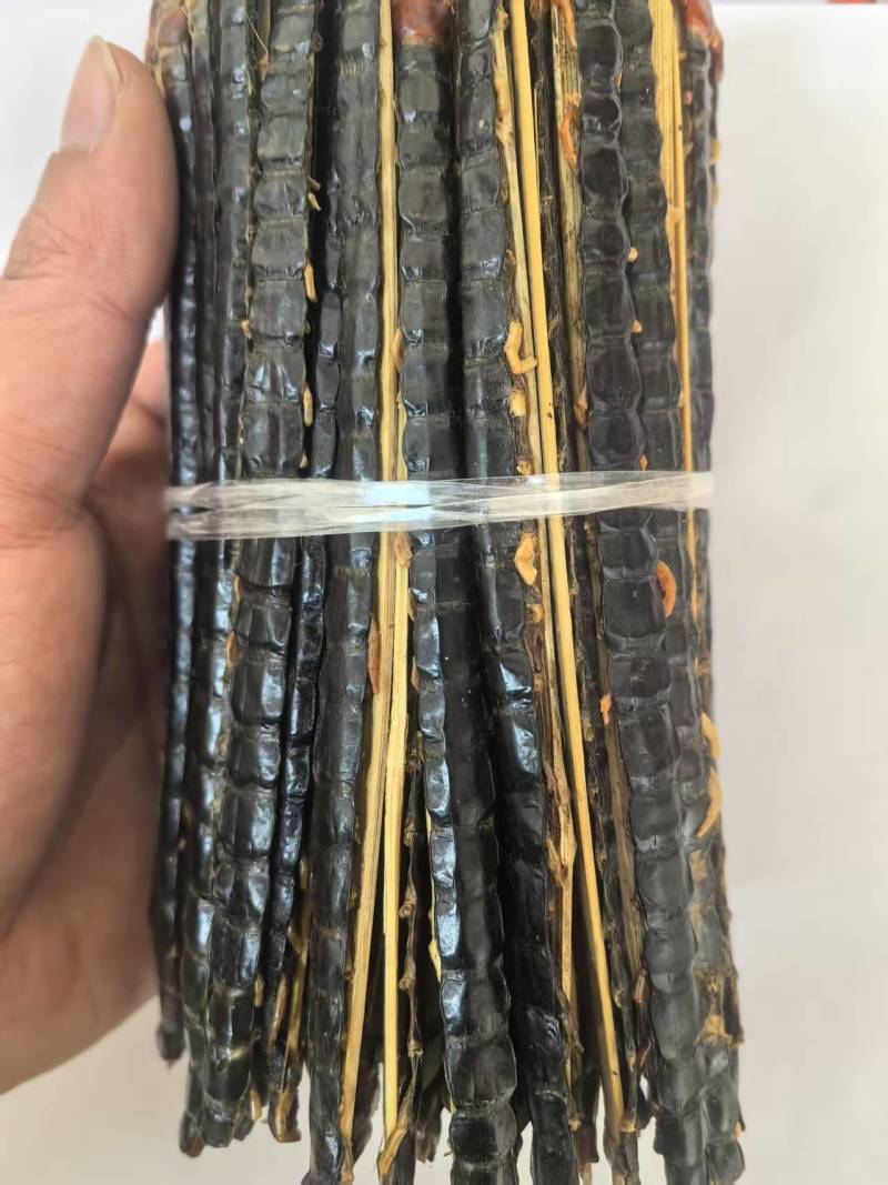 蜈蚣15公分多种规格需要联系