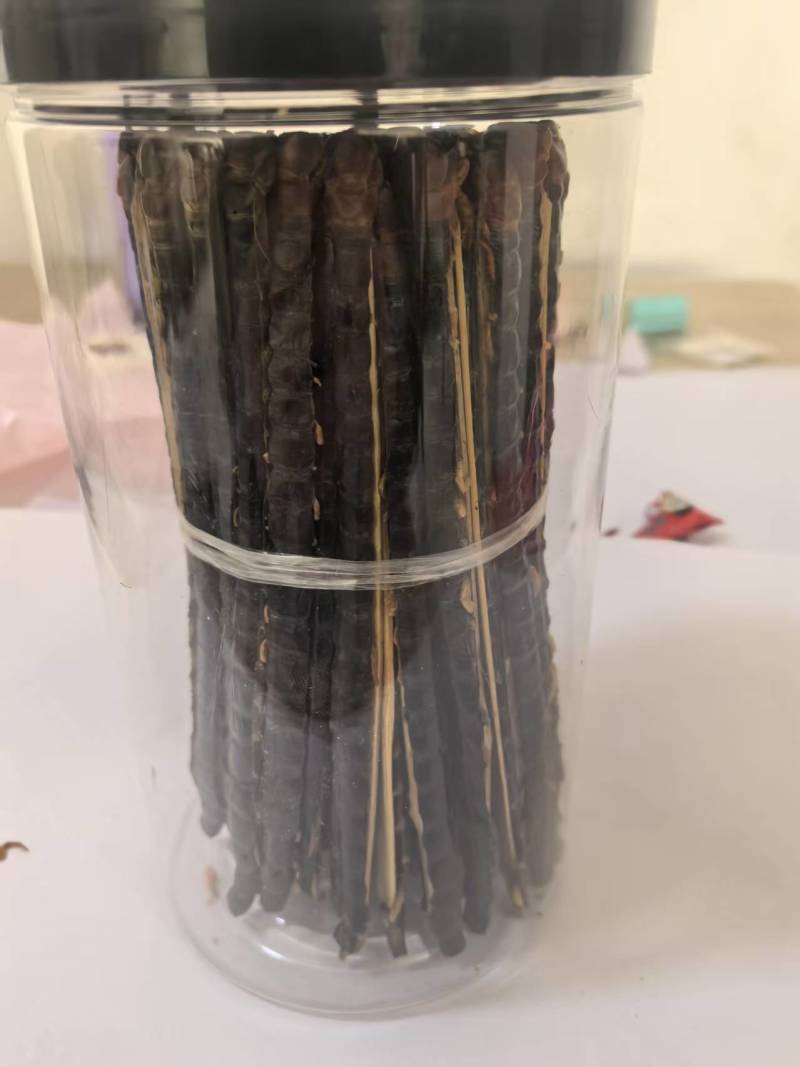 蜈蚣15公分多种规格需要联系
