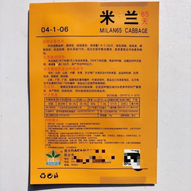 米兰绿甘蓝种子抗病抗旱春秋播种原装甘蓝种子