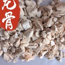 龙骨干净无杂质个头相对均匀道地药材