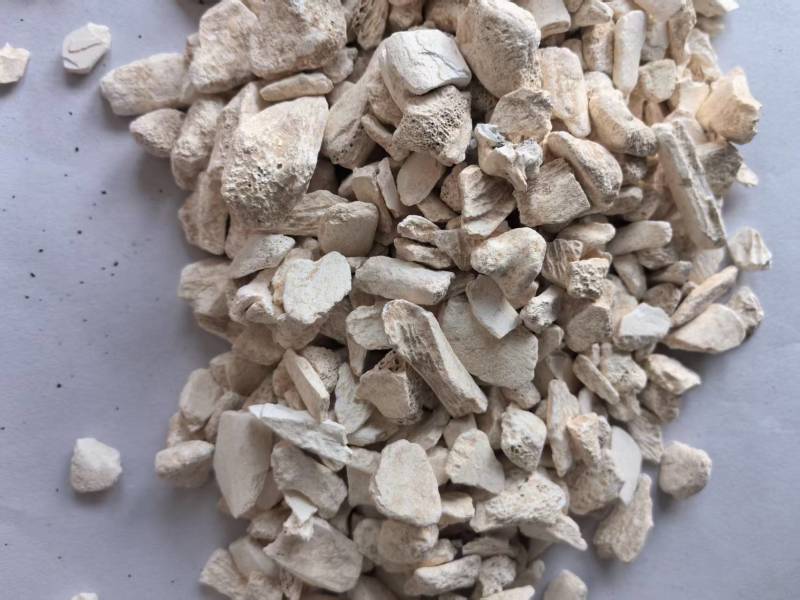 龙骨干净无杂质个头相对均匀道地药材