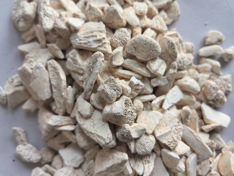 龙骨干净无杂质个头相对均匀道地药材