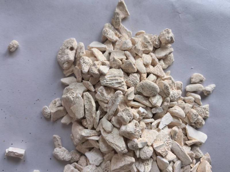 龙骨干净无杂质个头相对均匀道地药材