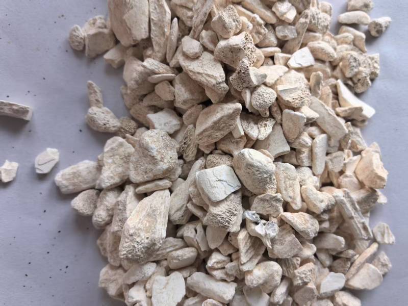 龙骨干净无杂质个头相对均匀道地药材