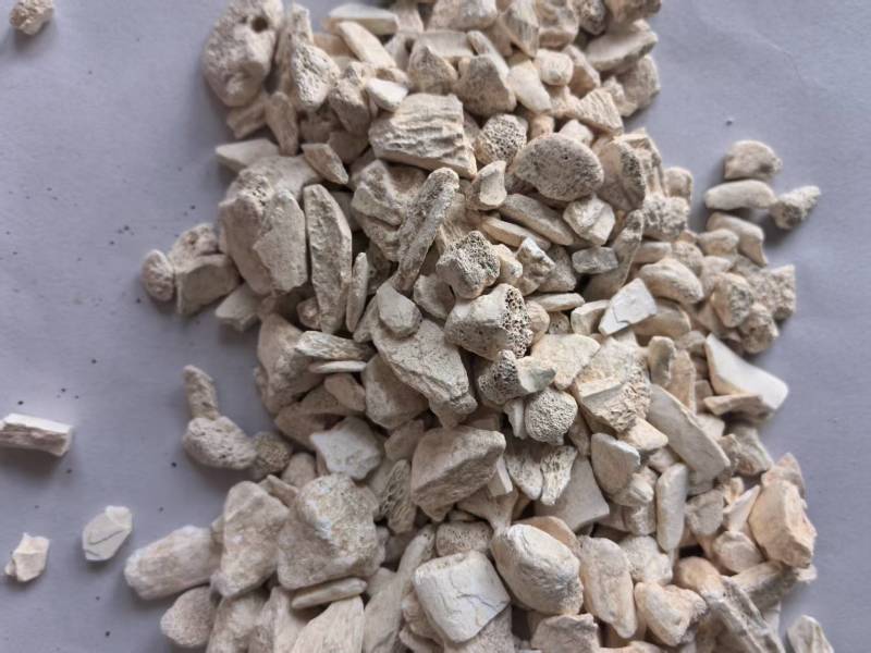 龙骨干净无杂质个头相对均匀道地药材