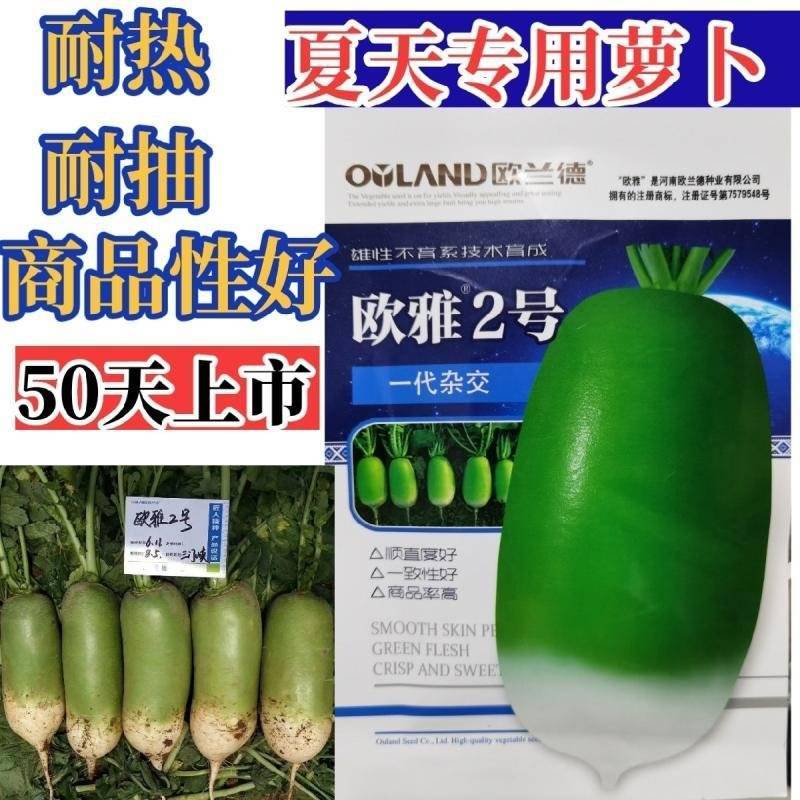 绿雅2号水果萝卜种类籽耐热耐运输口感脆甜多汁高产萝卜种籽