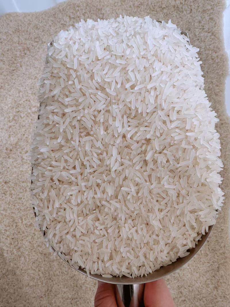 湖北长粒香米