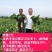 绿雅2号水果萝卜种类籽耐热耐运输口感脆甜多汁高产萝卜种籽