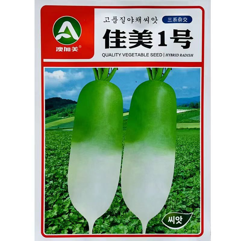 绿雅2号水果萝卜种类籽耐热耐运输口感脆甜多汁高产萝卜种籽