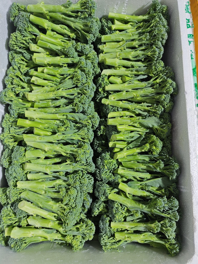 甜杆西兰苔
