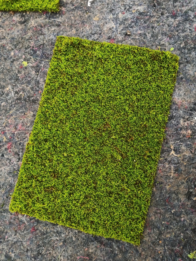 各种苔藓，有需要的联系