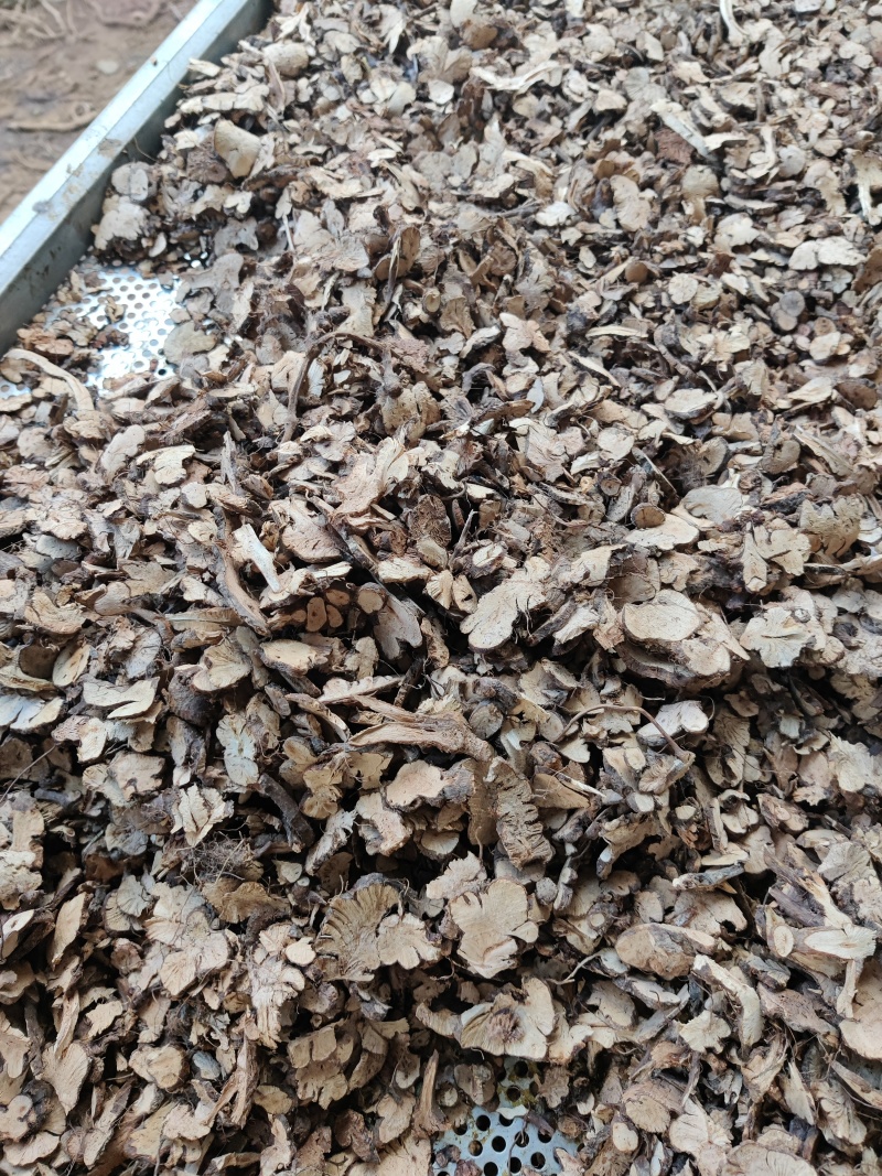 金荞麦，过4号筛