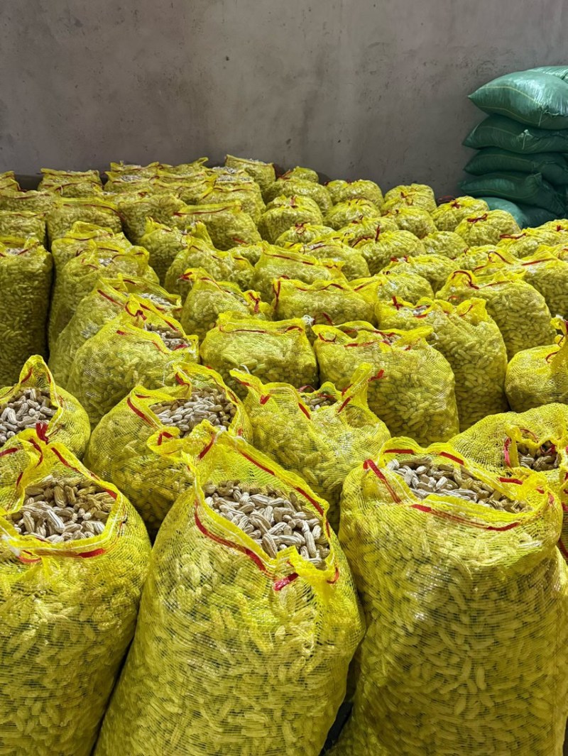 精选鲜果七彩花生16元一公斤，颗粒饱满，口感甜脆产地直发