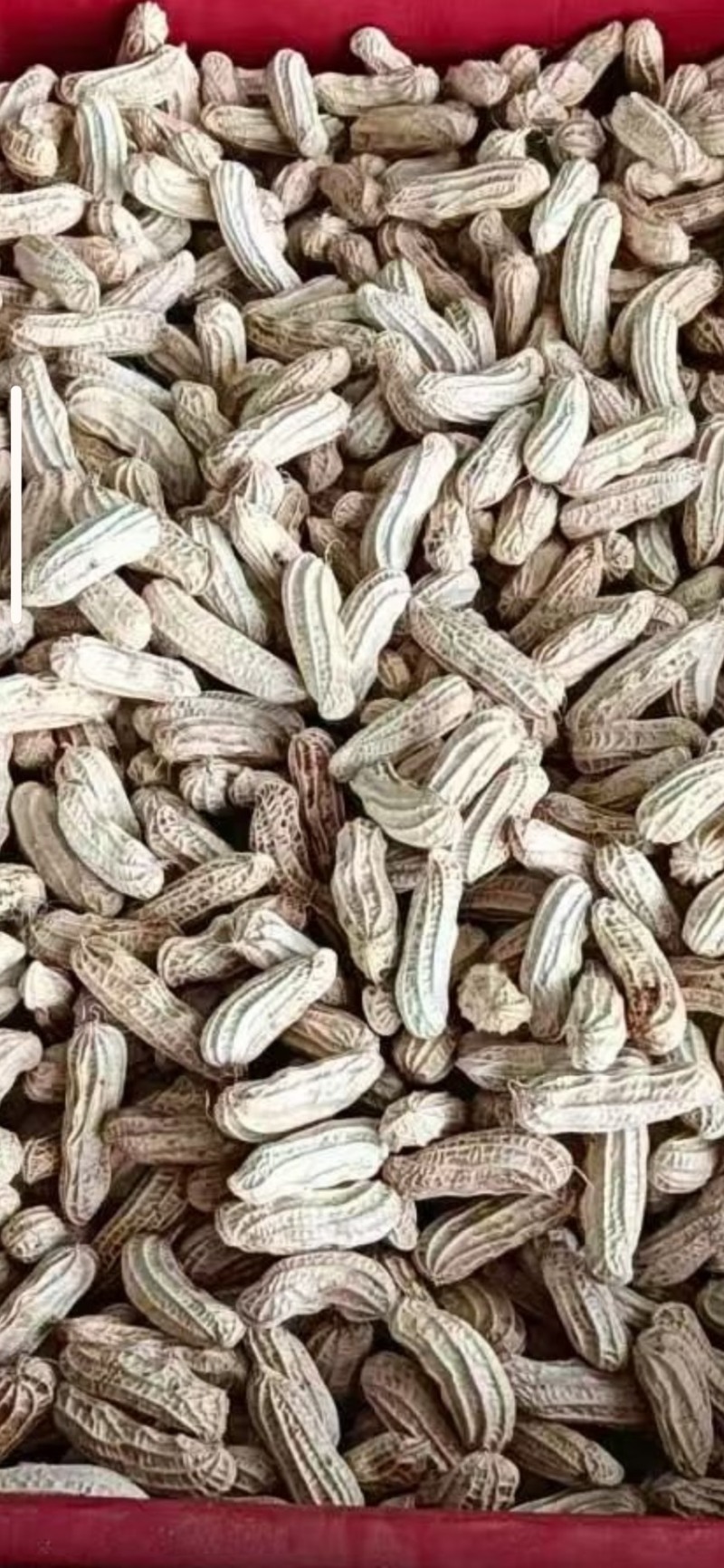 精选鲜果七彩花生16元一公斤，颗粒饱满，口感甜脆产地直发