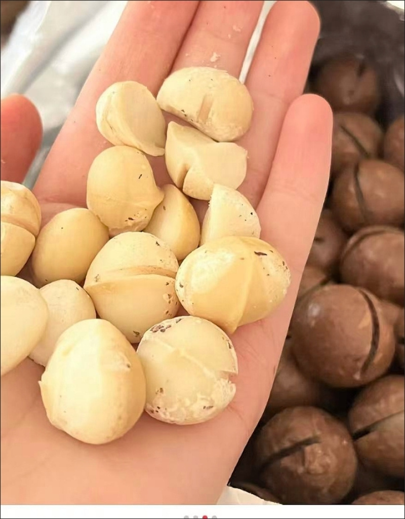 夏威夷果季节品随时有货有量有价