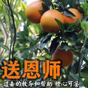 赣南脐橙