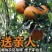 赣南脐橙