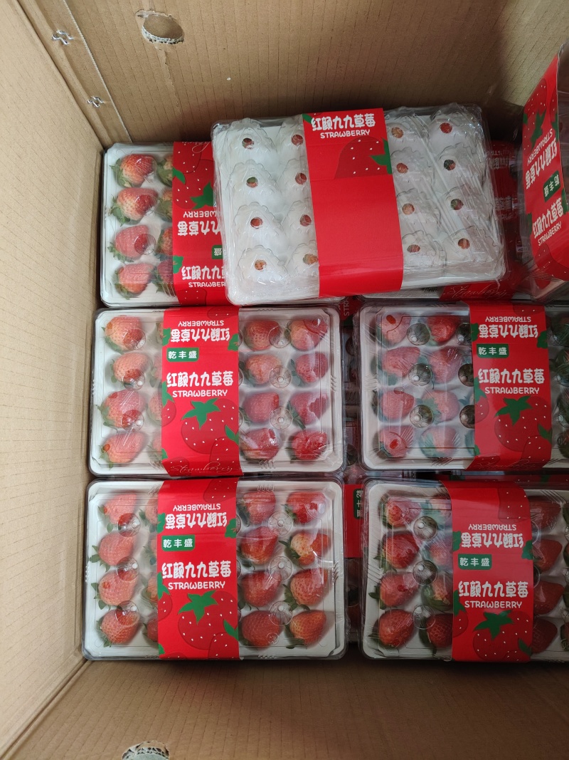 精品红颜草莓、产地直发对接电商超量大从优质量保证欢迎咨