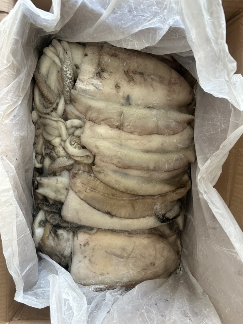 墨鱼大墨鱼2000/3000
