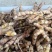 正宗广西姜黄野生姜黄新鲜野生姜黄红姜姜黄新鲜现挖药用黄姜