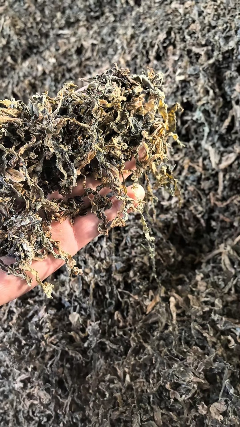 精品梅干菜，水洗菜，量大从优一手货源质量保证，可以定制