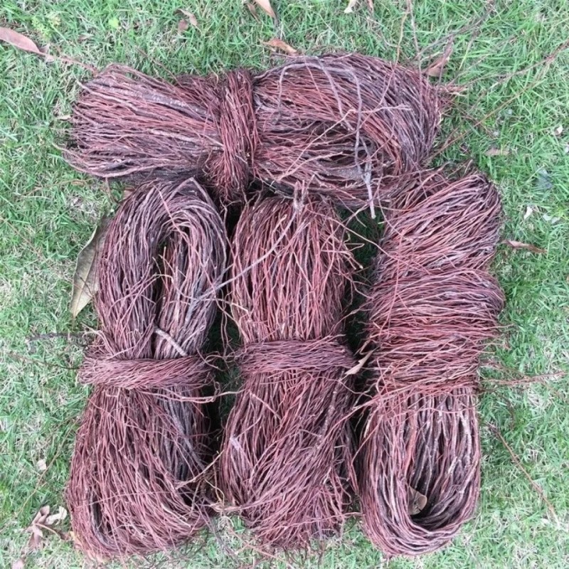 广西新鲜榕树根须,榕树须,正宗榕树须