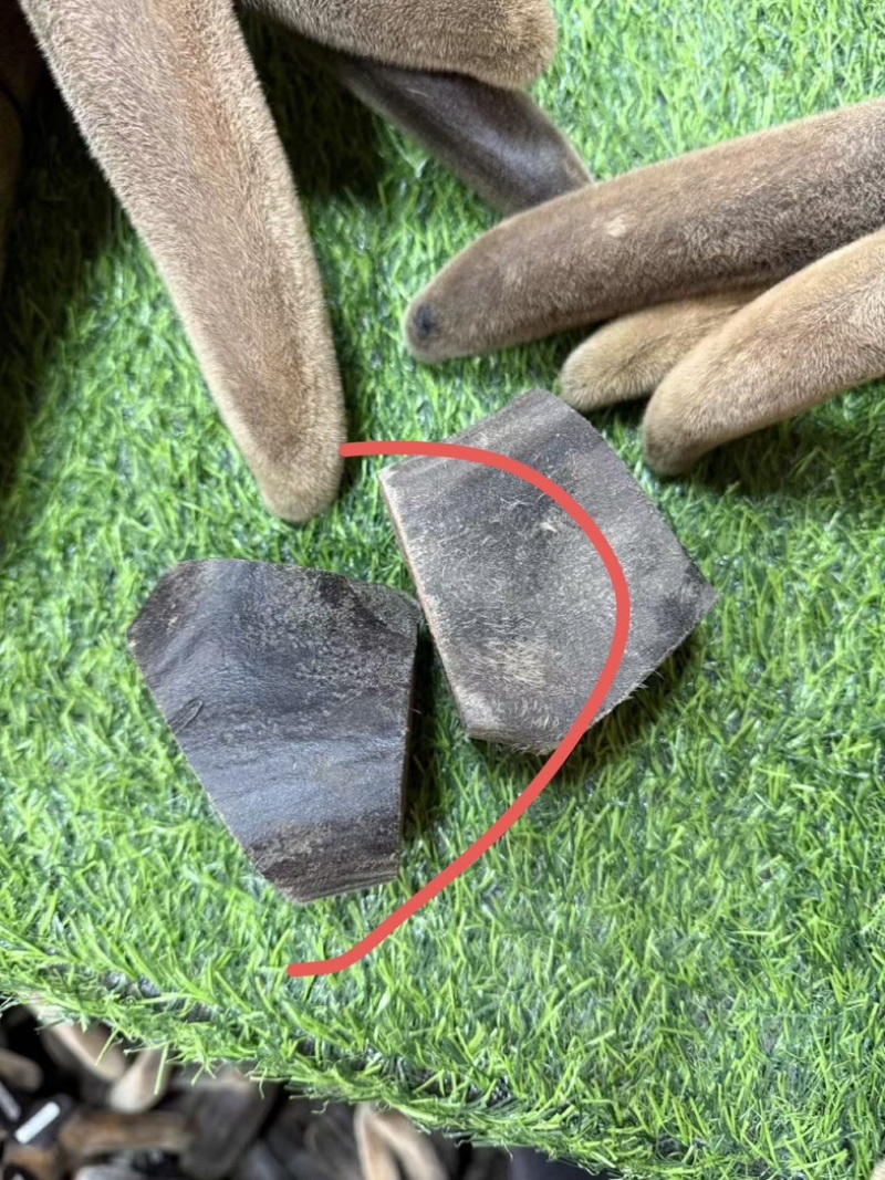 鹿茸根干鹿茸头茬二杠根段干度足干嫩茸可磨粉足干投料