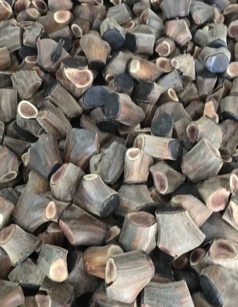 鹿茸根干鹿茸头茬二杠根段干度足干嫩茸可磨粉足干投料