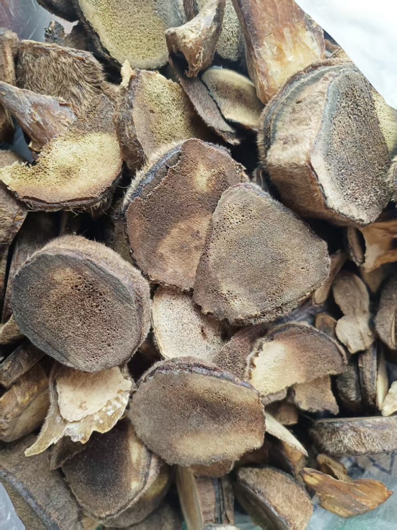 鹿茸根干鹿茸头茬二杠根段干度足干嫩茸可磨粉足干投料