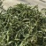 化石草大叶