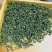 日照绿茶秋茶一芽一