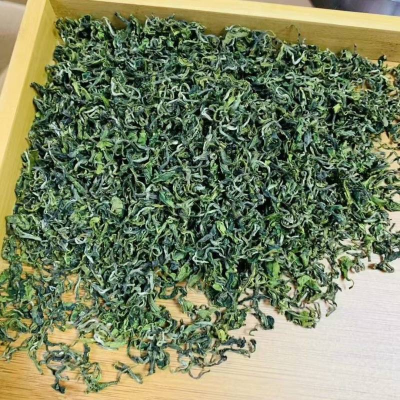 日照绿茶秋茶一芽一